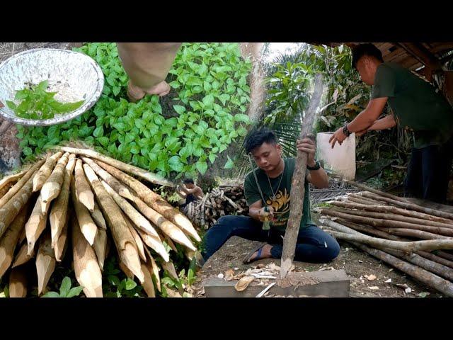 tak di sangka semua berjalan lancar bahkan di luar target warta petani muda hidup di hutan