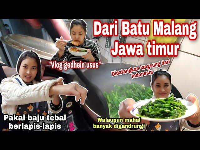 MASAK SAYUR ASLI DARI INDONESIA BUAT MAJIKAN‼️ VLOG GEDHEIN USUS || CERITA TKW TAIWAN