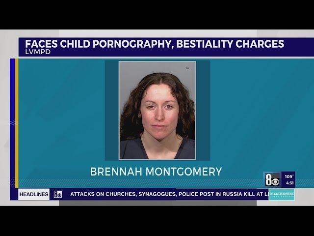 Woman accused of having child porn, animal sex acts