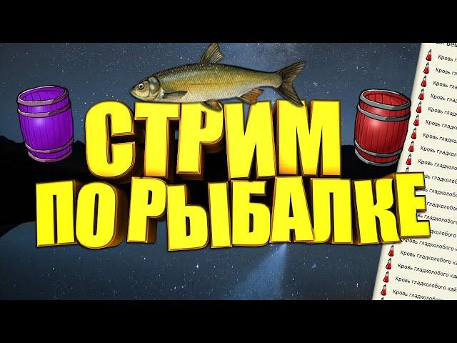 стрим рр3.99 промыслы!!!