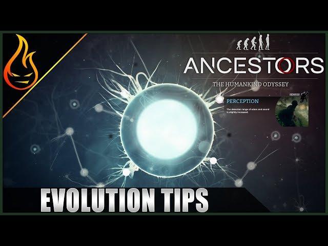 Evolution Tips Ancestors The Humankind Odyssey