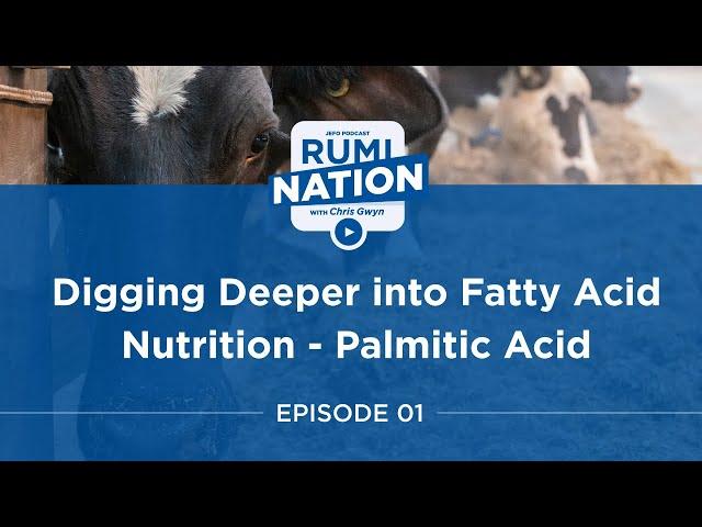 RumiNation : Digging deeper into Fatty Acid Nutrition – Palmitic Acid with Dr. Adam Lock