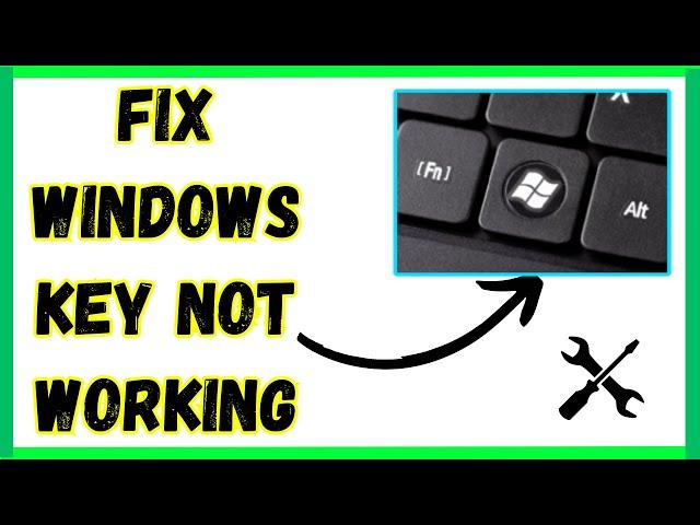 How to FIX Windows Key Not Working on Windows 10/11 | Windows button not working on keyboard (2024)