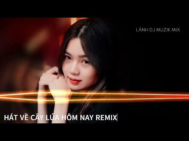 HÁT VỀ CÂY LÚA HÔM NAY REMIX (NỮ) (HÁT VỀ CÂY KE) (bản full) HÓT TIKTOK 2024 LÀNH DJ MUZIK MIX 2024