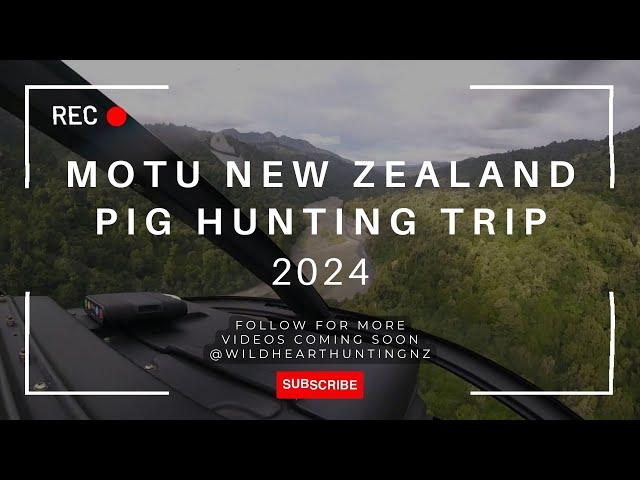 Motu New Zealand Pig Hunting 2024