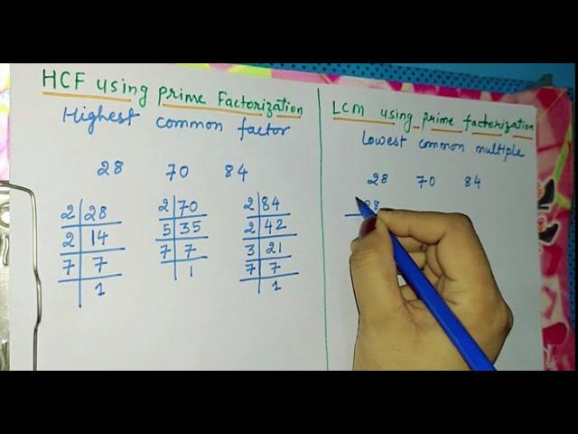 class 4 lcm and hcf | class 5 lcm and hcf|hcf and lcm using prime factorization in hindi