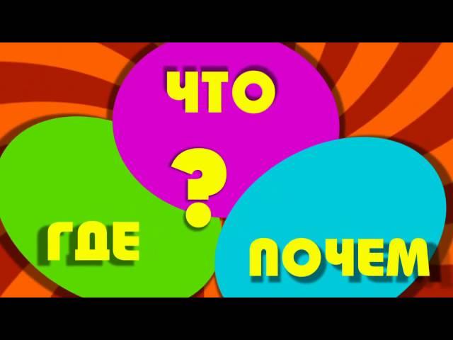 Тематический сюжет "Что? Где? Почем?"