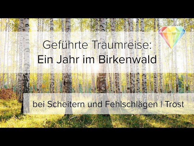 Geführte Traumreise: Ein Jahr im Birkenwald | bei Scheitern & Fehlschlägen | Trost | Erneuerung