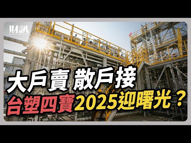 外資 大戶狂倒貨  散戶逢低拚命買 台塑四寶2025迎曙光？｜#聽了財知道 EP198