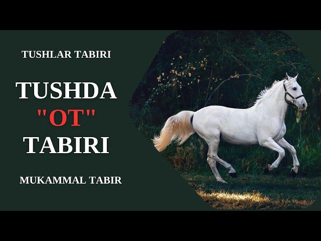 TUSHDA OT TABIRI | TUSHDA OTLARNI KO'RISH NIMAGA TABIR BO'LADI?