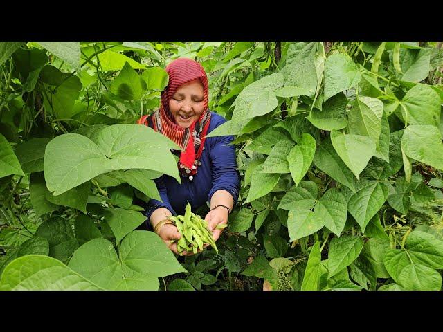 PAZARIMIZ DOLDU TAŞTI TEZGAHIMIZ 24 SAAT ACIK ️