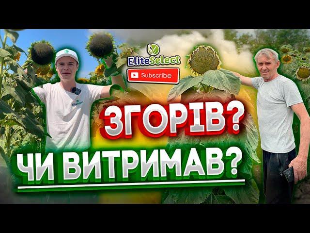 Відгук згорів чи витримав? Лідер ЕС Саксон на Одещині