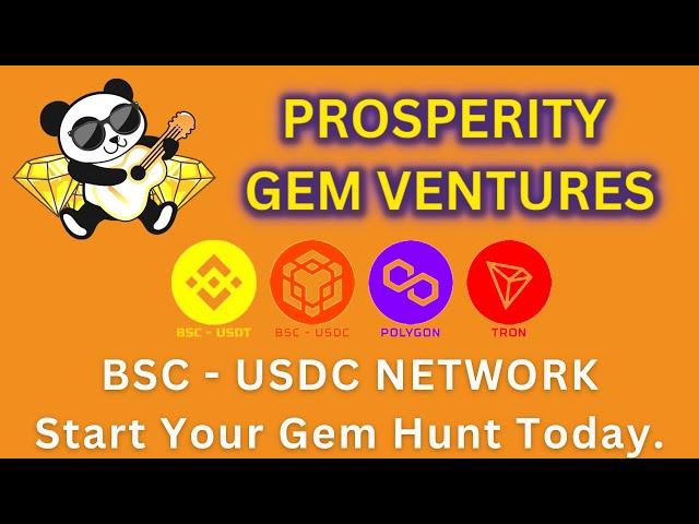 PROSPERITY GEM VENTURES BSC | USDC NETWORK  ( PGV )