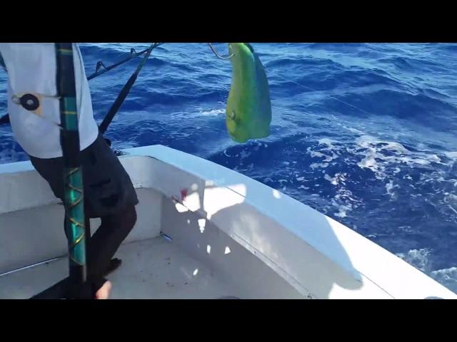 Deep sea fishing tour in Punta Cana