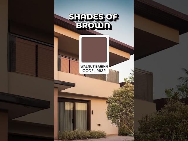 Top 5 Exterior color combination for your home #home #exteriordesign #exteriors #wall #homeexterior