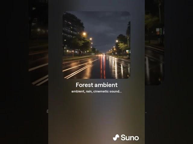 HCS - Forest ambient rain