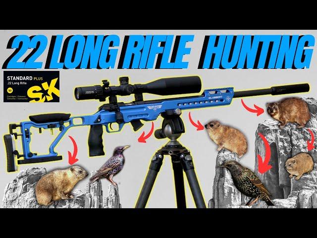 22 LONG RIFLE HUNTING FOR DASSIES I RIMFIRE PEST CONTROL IN AFRICA I CZ 457 RIMFIRE HUNTING