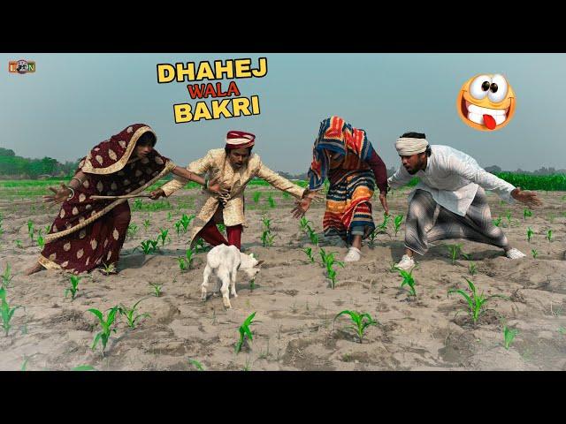 Dahej wala Bakri Totally Funny comedy video // Lovely fun nonstop