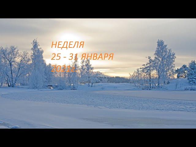 ТЕЛЕЦ. НЕДЕЛЯ 25-31 ЯНВАРЯ 2021. Таро прогноз.