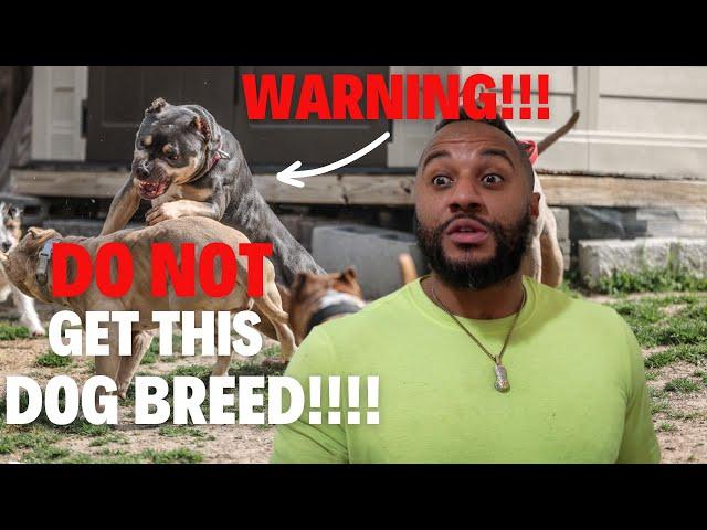 WARNING: DO NOT Get This  DOG BREED!?!?!?! Here's Why...