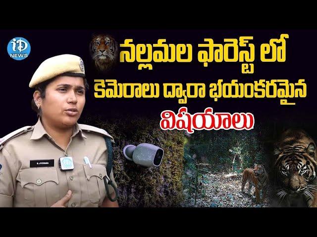 Amrabad Tiger Reserve రాత్రులు జంతువులు ఏం చేస్తాయో తెలిస్తే షాక్ అవుతారు! | iDream Telangana