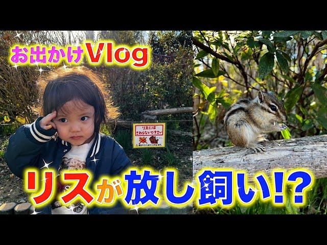 初めてのリスに大興奮‼︎【お出かけVlog】