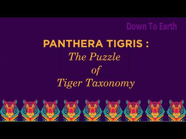 Panthera Tigris : The Puzzle that is Tiger Taxonomy