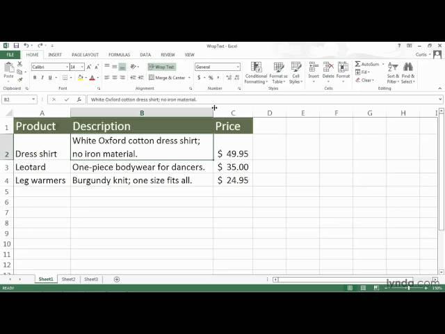 Excel Tutorial - Wrapping and shrinking cell text