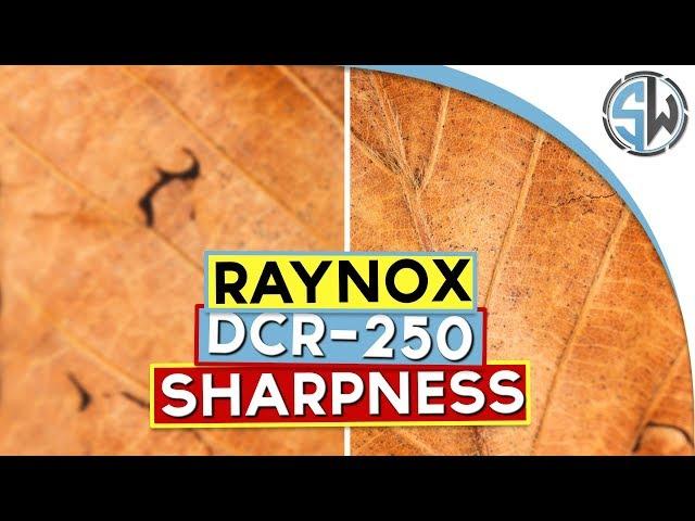 Extension tubes VS Raynox DCR-250 - Sharpness test!