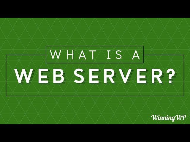 What Is A Web Server?