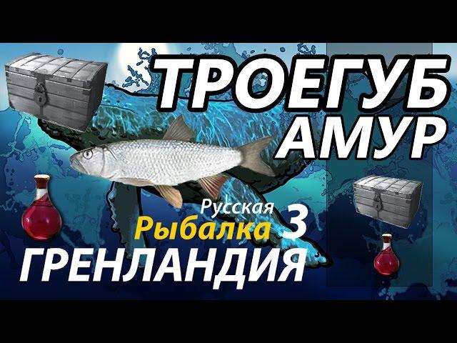 Троегуб Амур / РР3 [Русская Рыбалка 3 Гренландия]