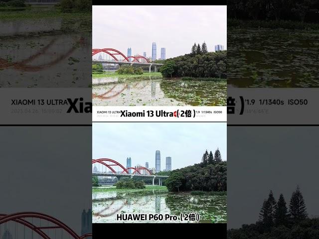 Xiaomi 13 Ultra vs Huawei P60 Pro Camera Comparison! #shorts