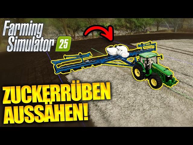 Neue Geräte für Zuckerrüben!| Farming Simulator 25