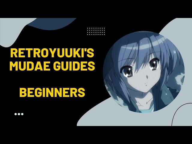 Mudae Discord Bot Beginners Guide