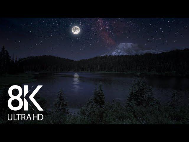 10 HRS of Nighttime Nature Soundscapes (Lake Waves, Cicadas, Crickets) - 8K Enchanting Night