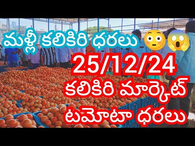 25-12-24 Ananthapuram Tomato Market price Today || Today Tomato Market Rate in Ananthapuram #today