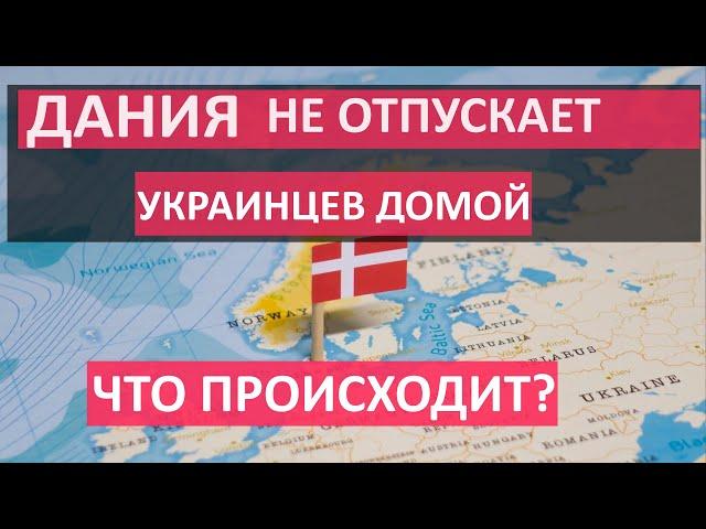 Почему Дания НЕ ОТПУСКАЕТ украинцев. Сколько получают беженцы в Дании и как получить работу