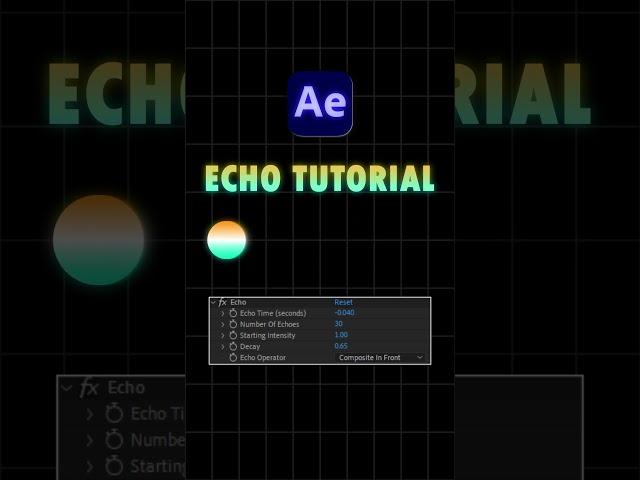 Echo Tutorial | after Effect | The Edit Art