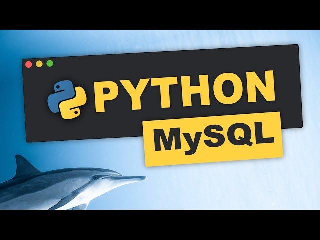 Python MySQL | Datenbanken erstellen | Tutorial (Deutsch) | für Anfängerinnen und Anfänger 