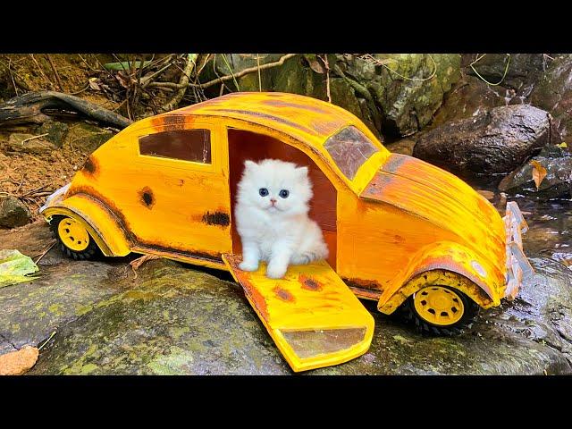 Tiny Kitten Rescued And Has Big Family | Make Villa For Kittens To Live After Rescue From Cardboard