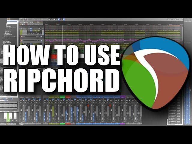 How To Use RipChord In Reaper