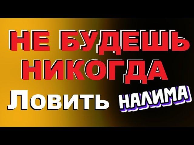 ЛОВИ НАЛИМА КАК Я СОВЕТУЮ! ЭФФЕКТИВНЕЕ ЧЕМ У ВСЕХ! ЗИМНИЙ НАЛИМ. SeMano TV