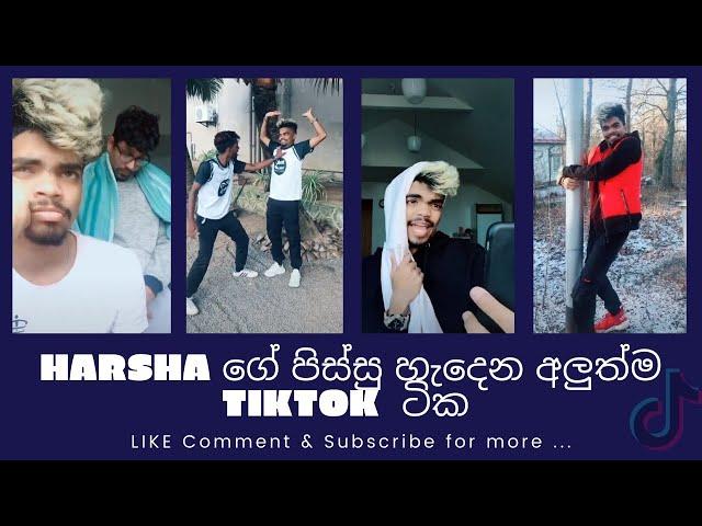 Sweg Harsh TikTok musically Videos | Tik Tok Sri Lanka | Harsha tik tok | Part 1