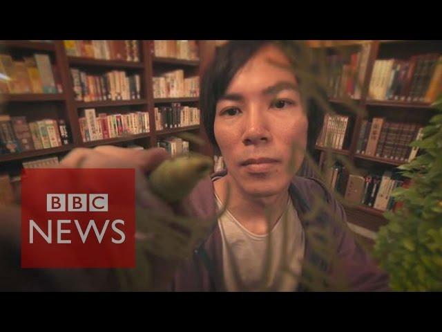 Manga artist Hajime Isayama reveals his inspiration - BBC News