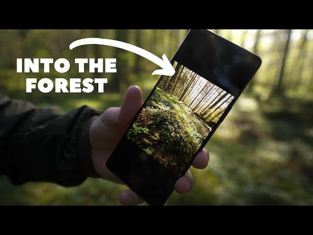 Xperia 1 IV In the field - Nature Photography // 4K 120fps Test