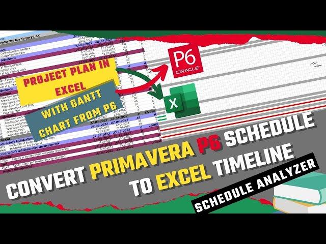 Convert Primavera P6 Schedule to Excel Timeline| Project Plan in Excel with Gantt Chart from P6