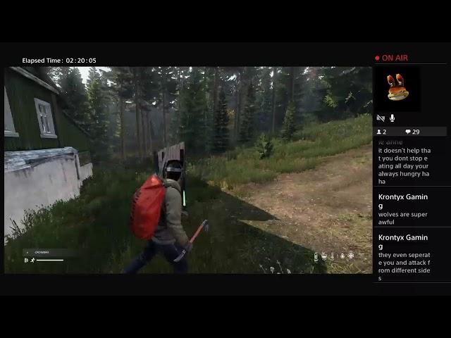 DAYZ with Mr Relliks