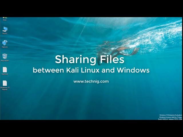 How to Share File between Kali Linux and Windows 10 Easily?