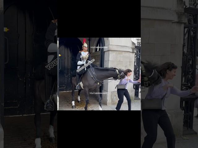 Ormonde Makes Women Fall for Him Left and Right: Epic Moments Horse Guards!