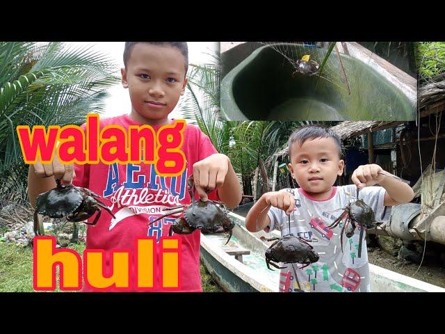 #crabhunting PARAAN NG PANGHUHULI NG ALIMANGO|PAMIMINTOL NG ALIMANGO#traditionalfishing #jayrtv